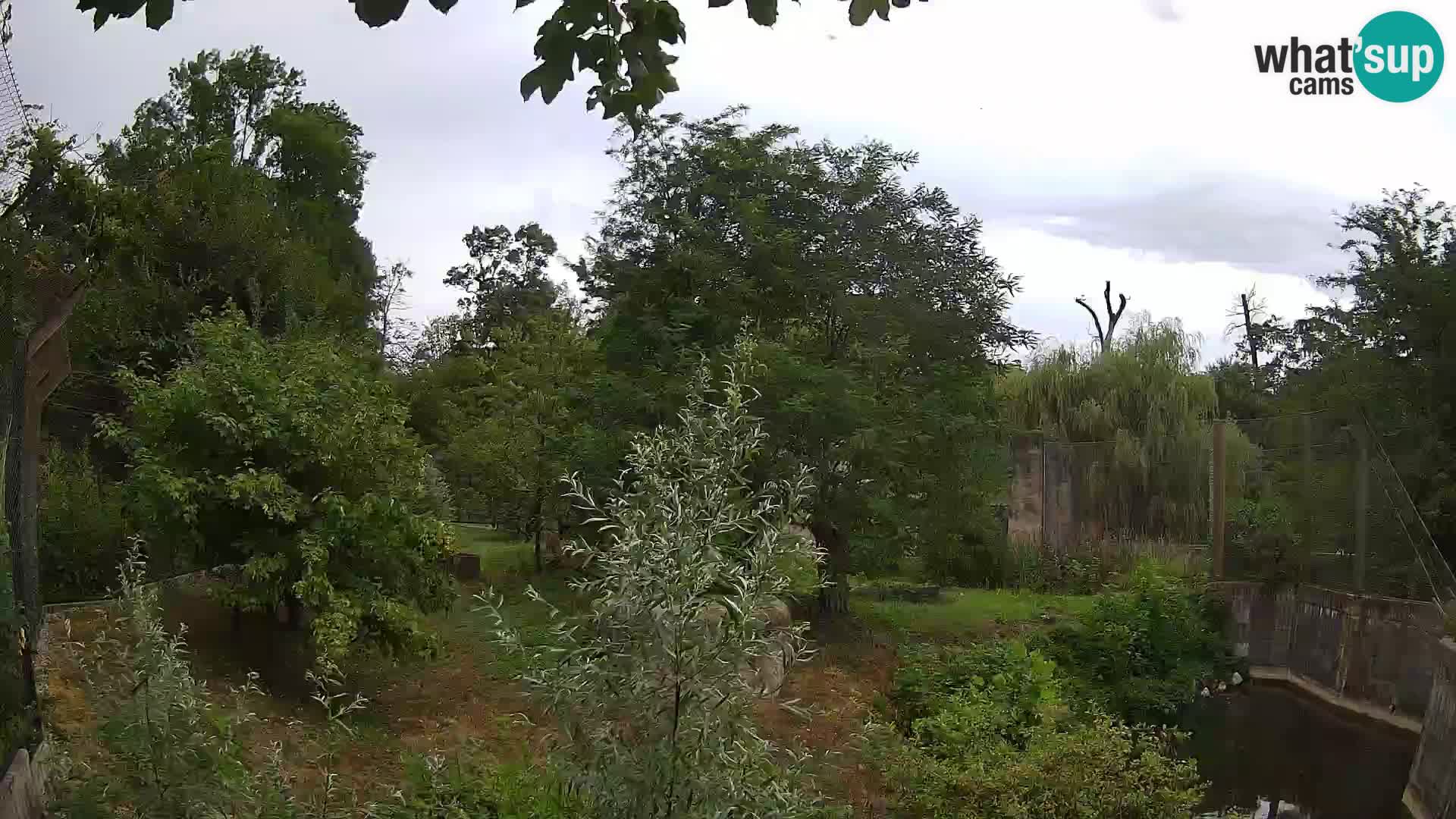 Zoo Zagreb – Löwen