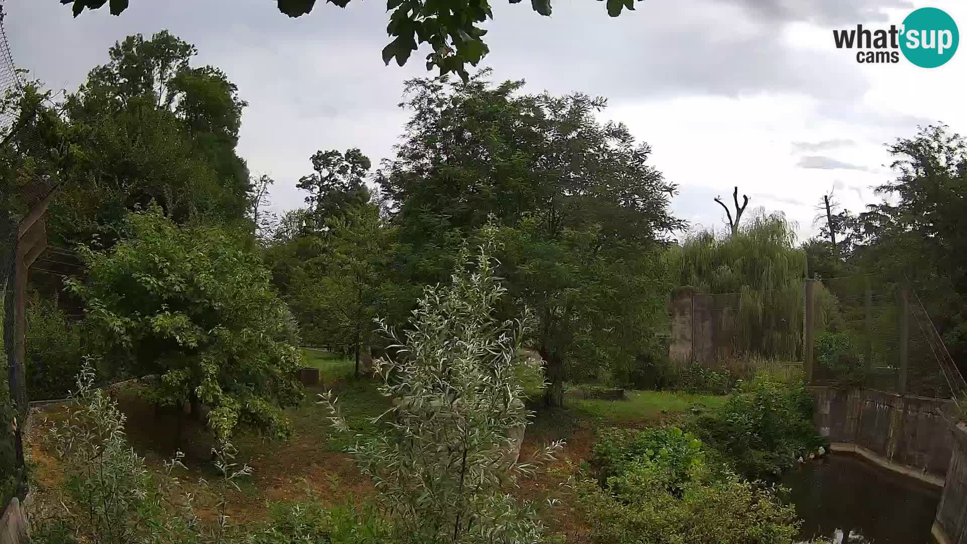 Zoo Zagreb – Leones