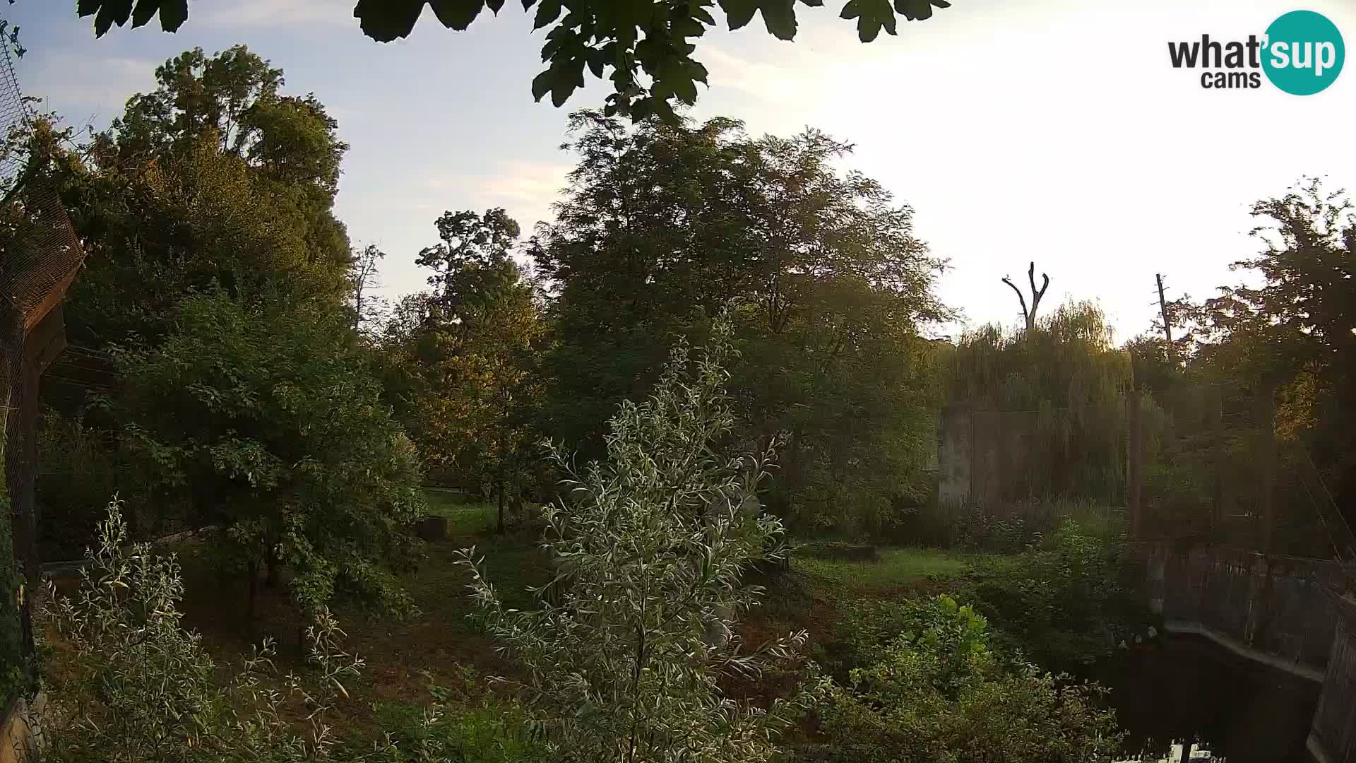 Zoo Zagreb – Leoni