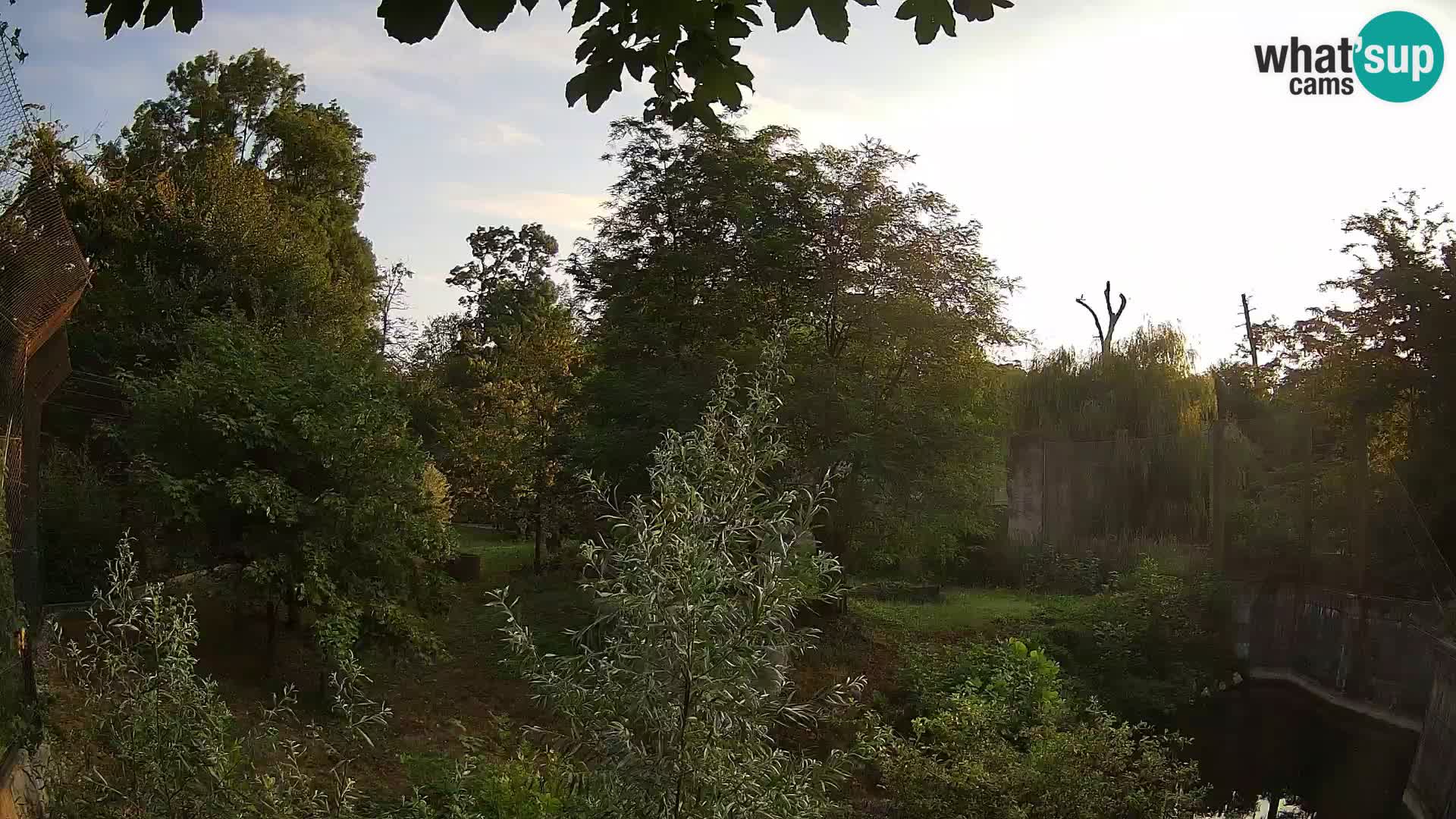 Zoo Zagreb – Löwen