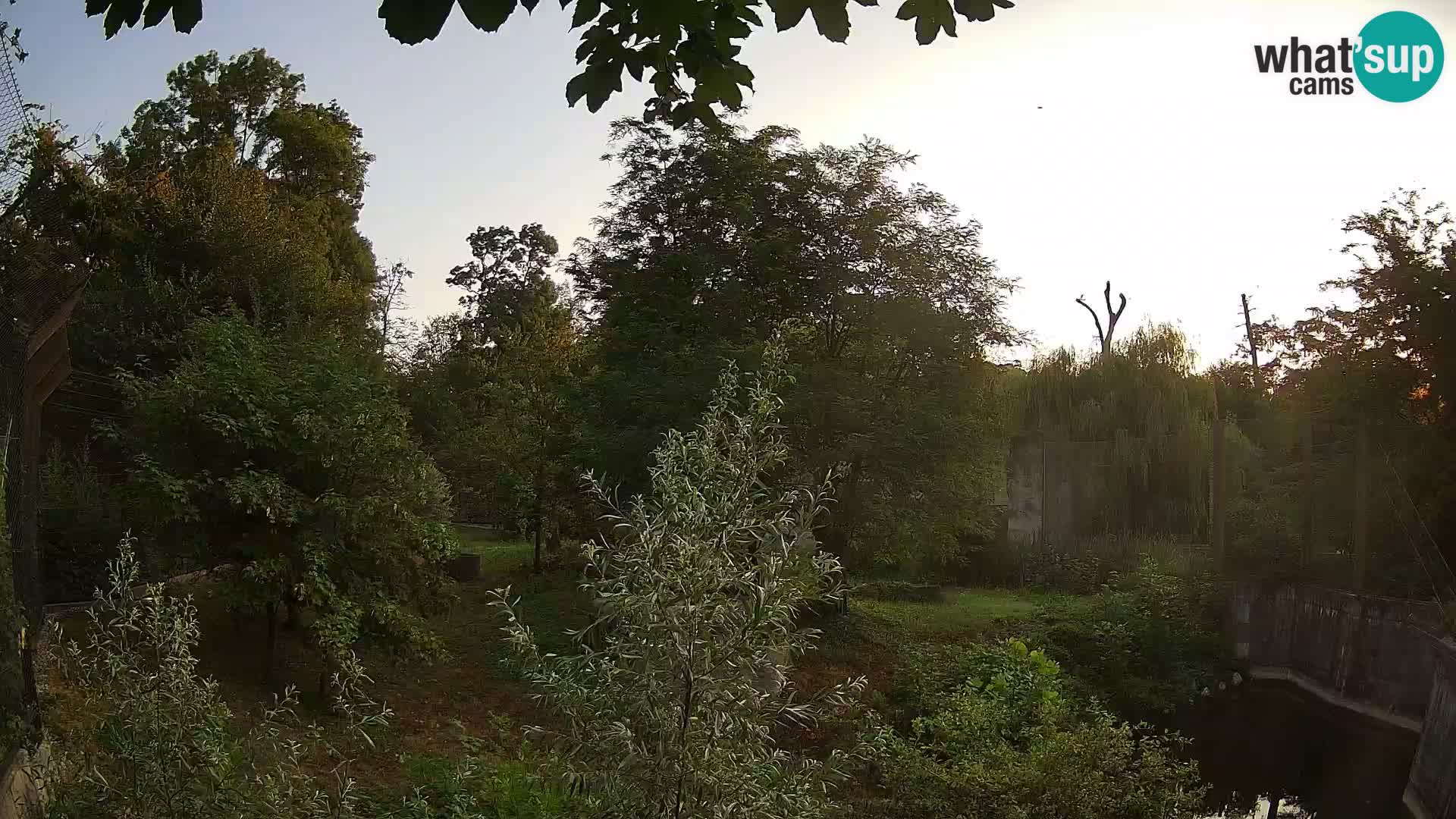 Zoo Zagreb – Leoni