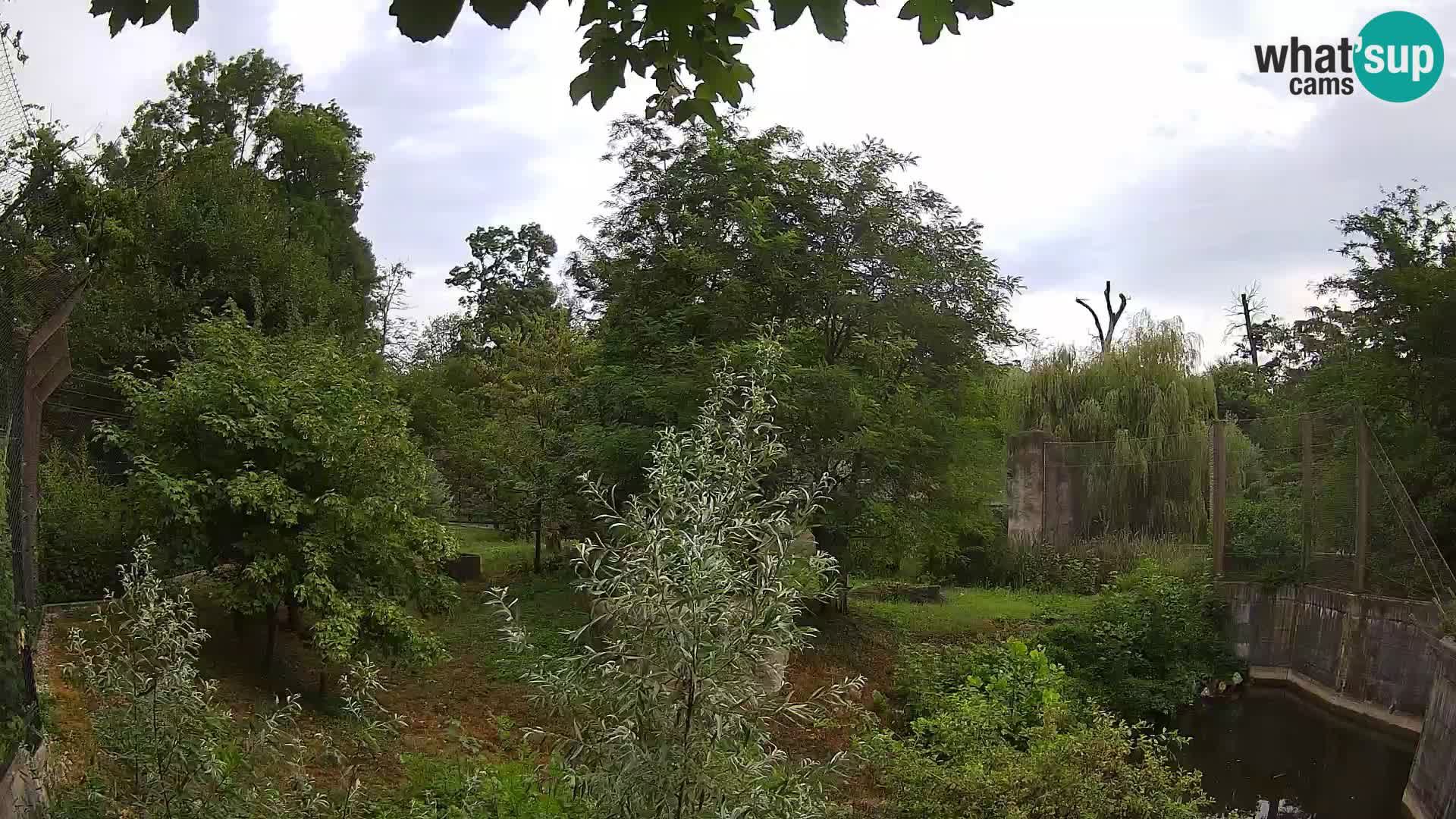 Spletna kamera Zoo Zagreb – Levi