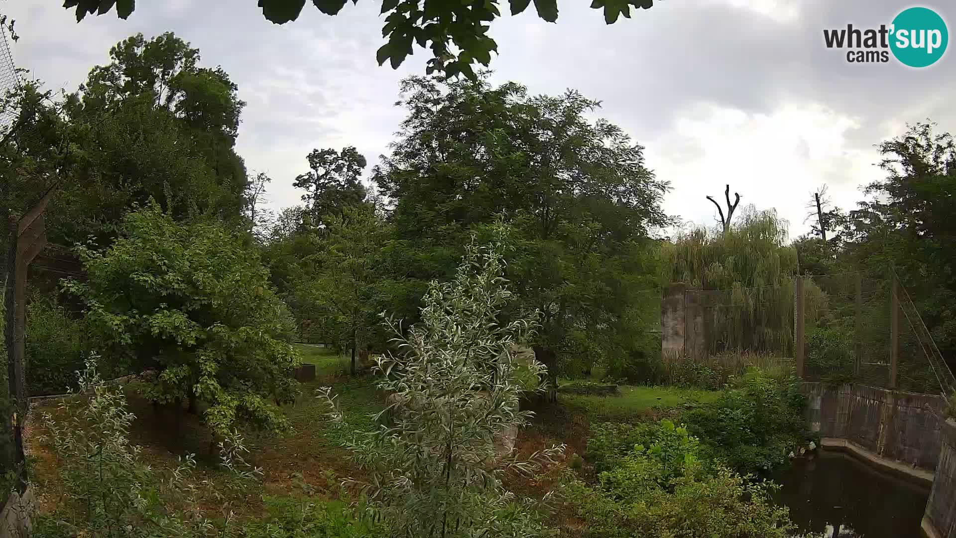 Spletna kamera Zoo Zagreb – Levi