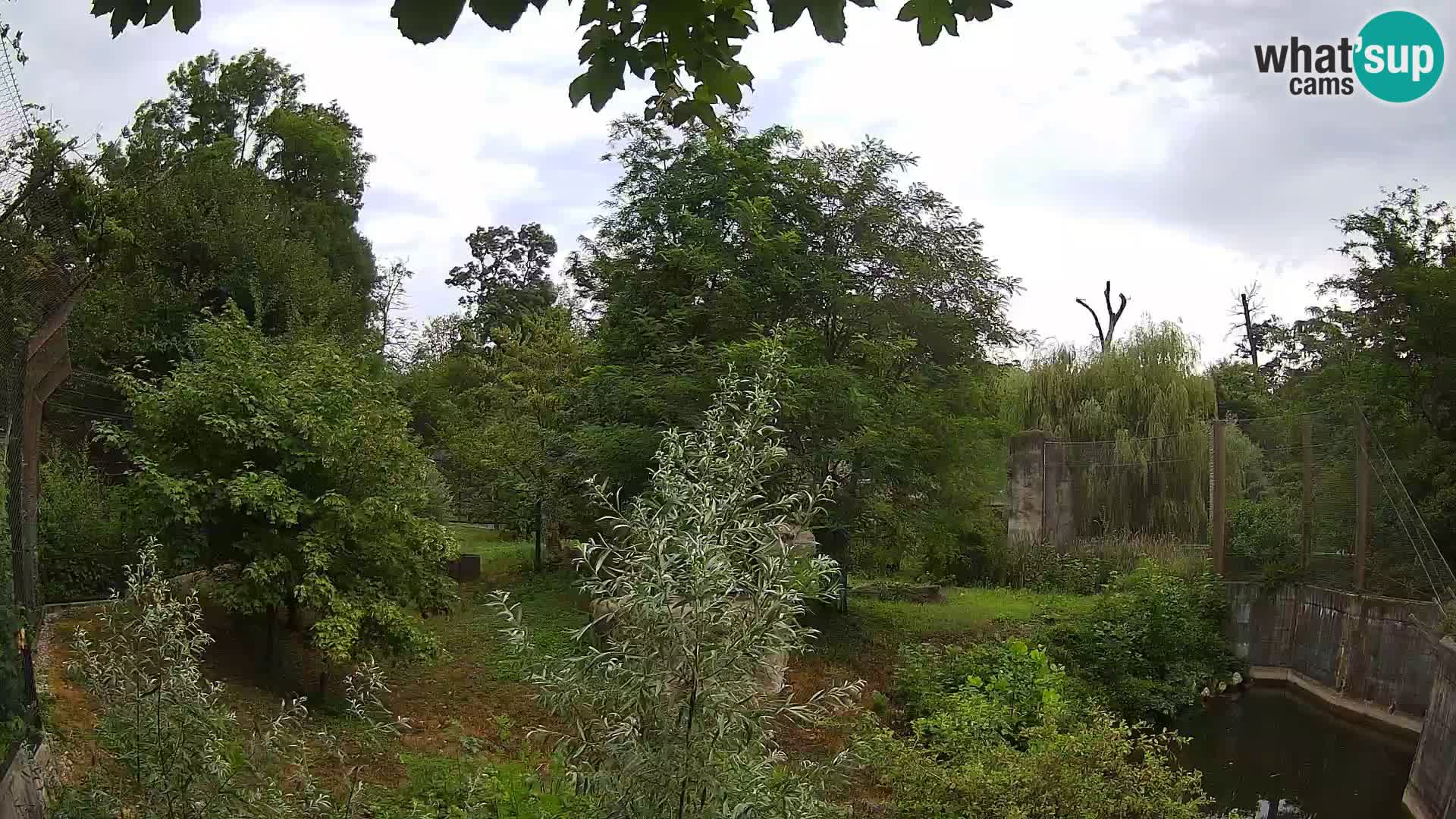 Zoo Zagreb – Leoni