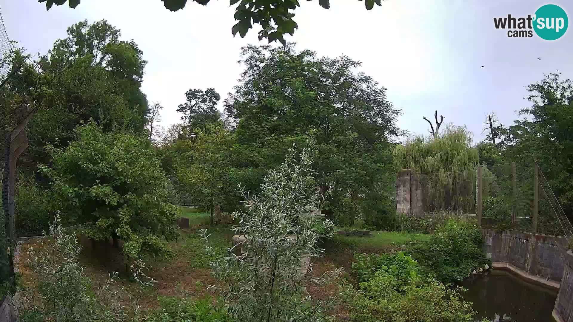 Zoo Zagreb – Leoni