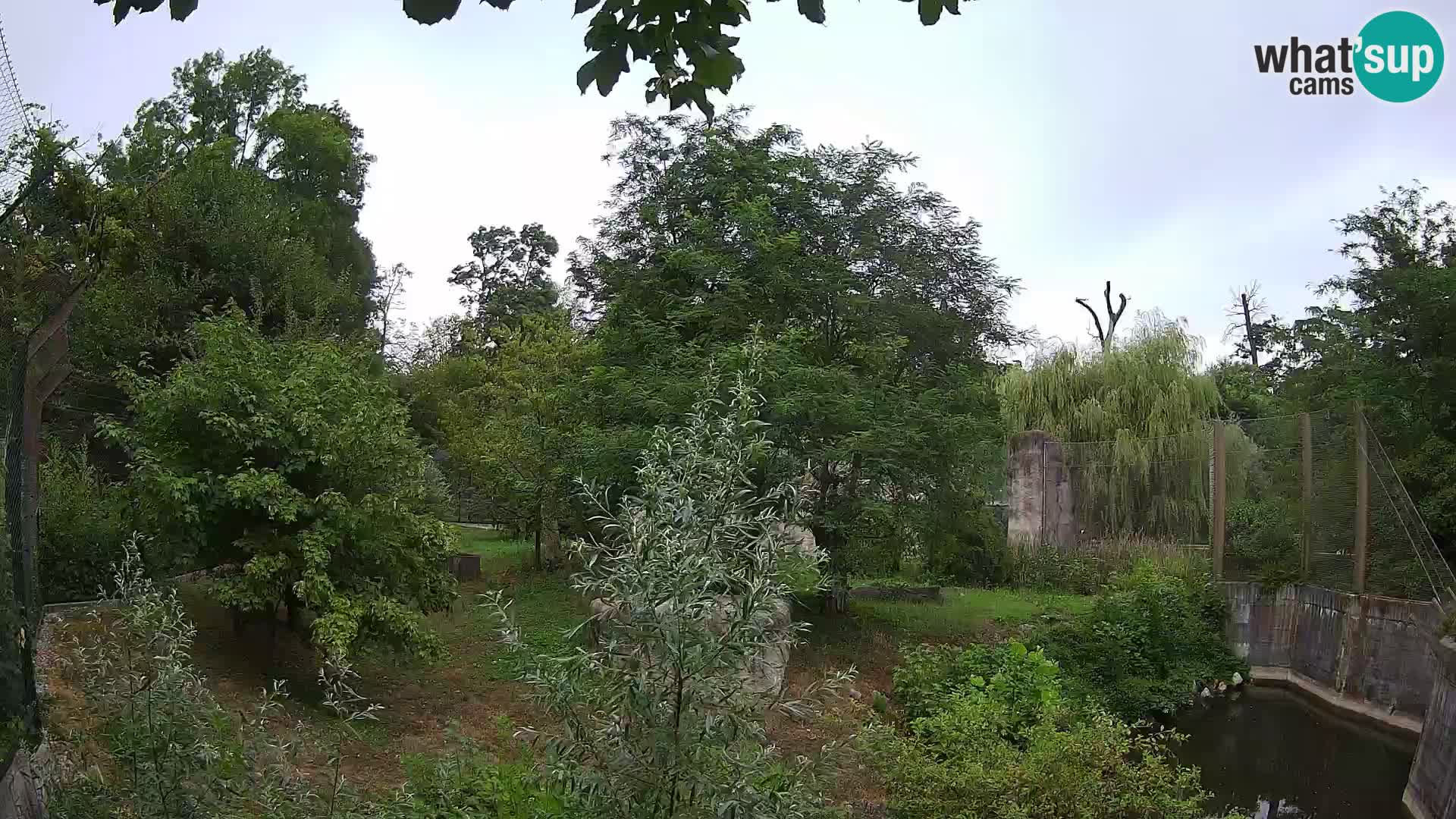 Zoo Zagreb – Leones