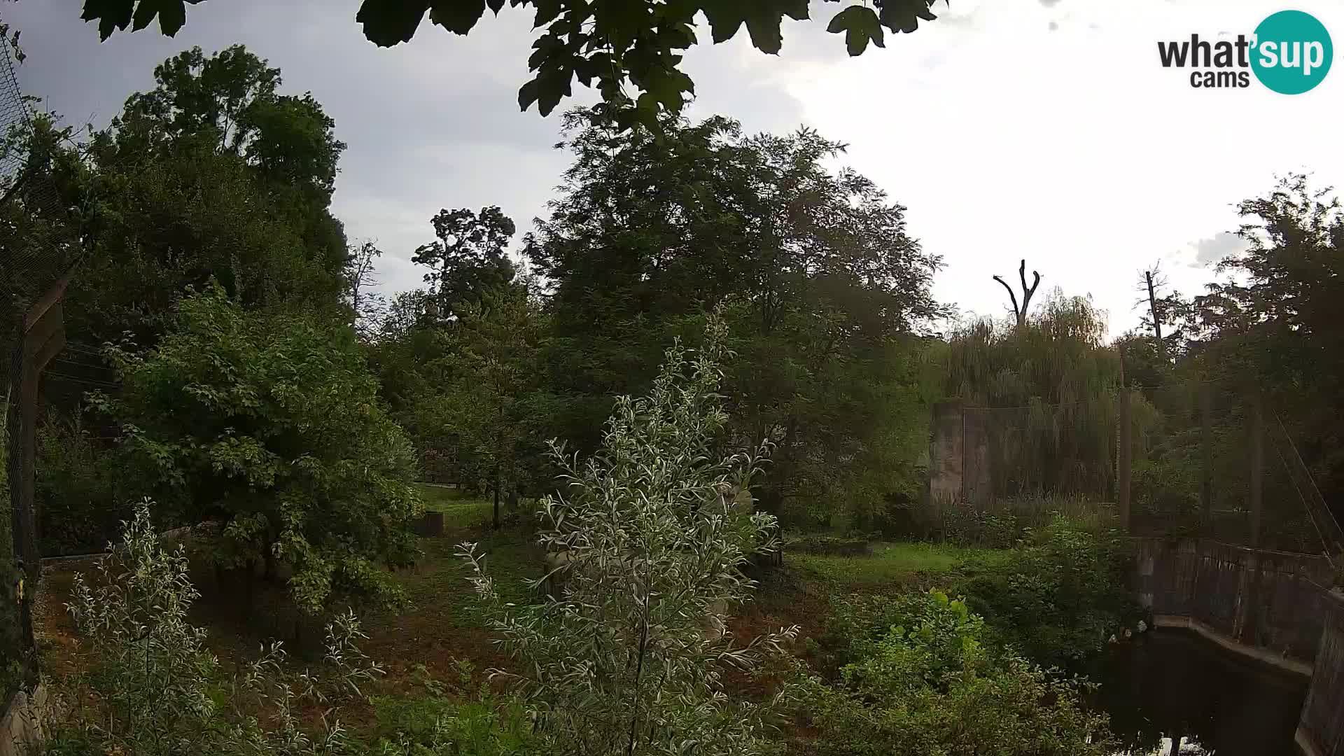 Zoo Zagreb – Löwen