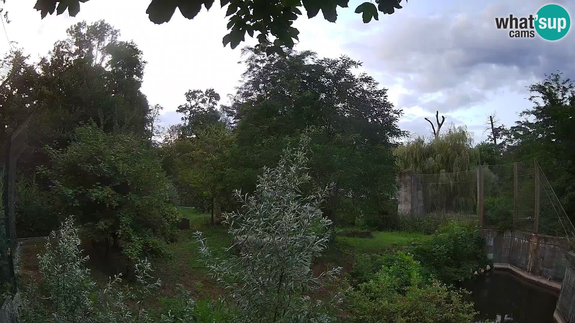 Spletna kamera Zoo Zagreb – Levi