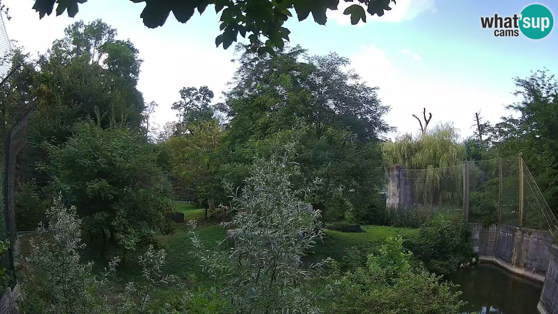 Zoo Zagreb – Löwen