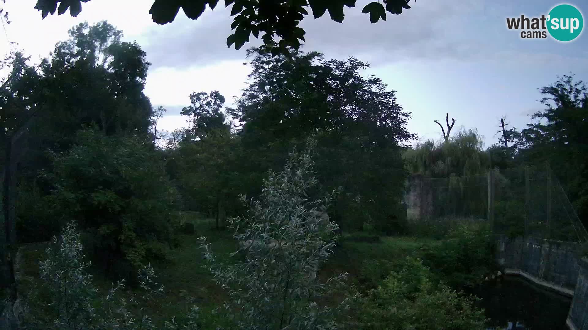 Zoo Zagreb – Löwen