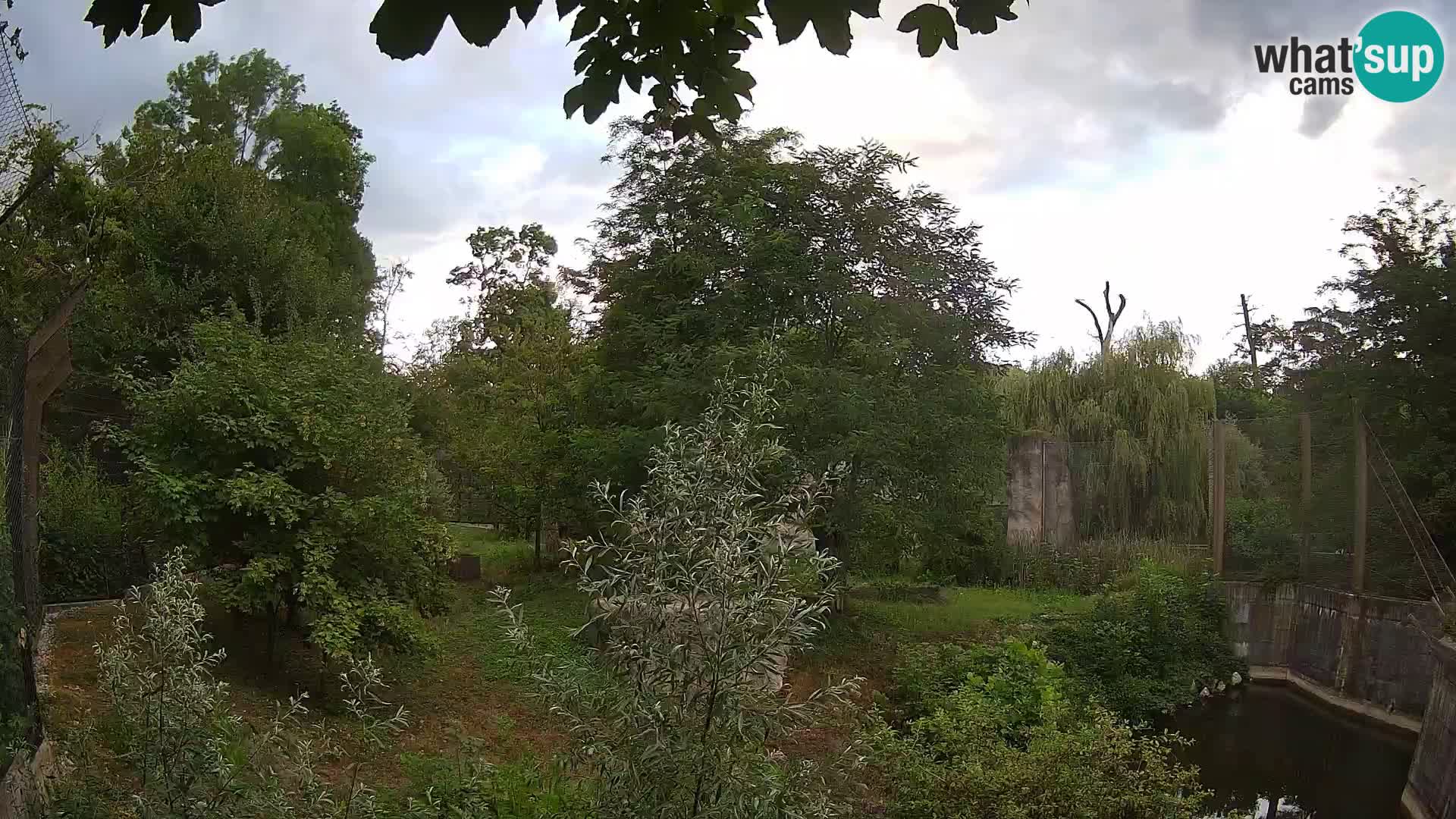 Zoo Zagreb – Leones