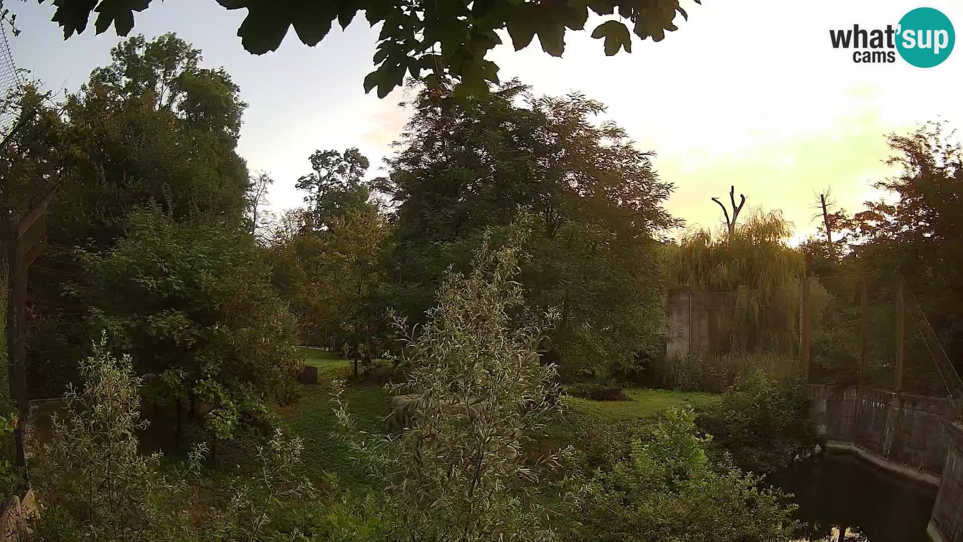 Zoo Zagreb – Lavovi