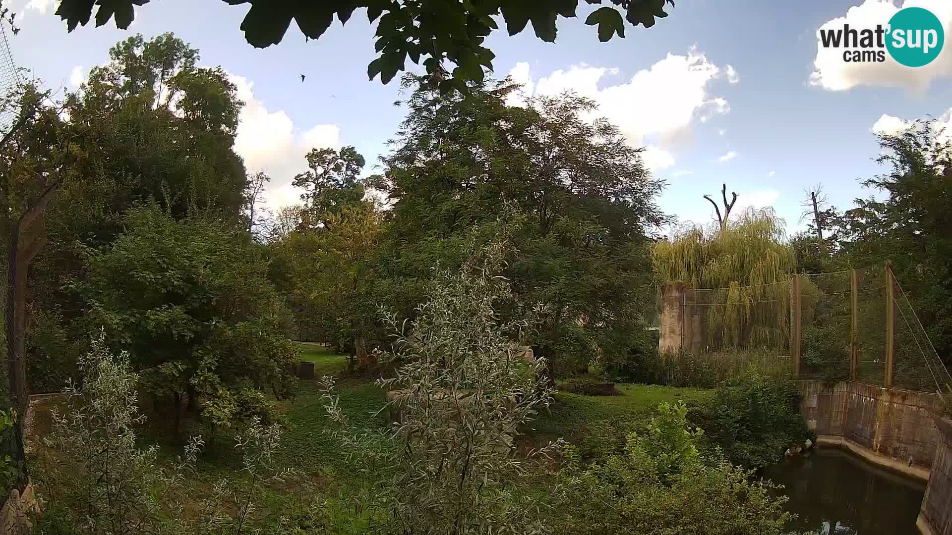 Zoo Zagreb – Leoni