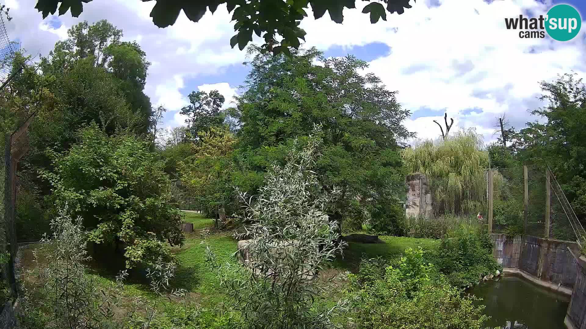 Zoo Zagreb – Löwen
