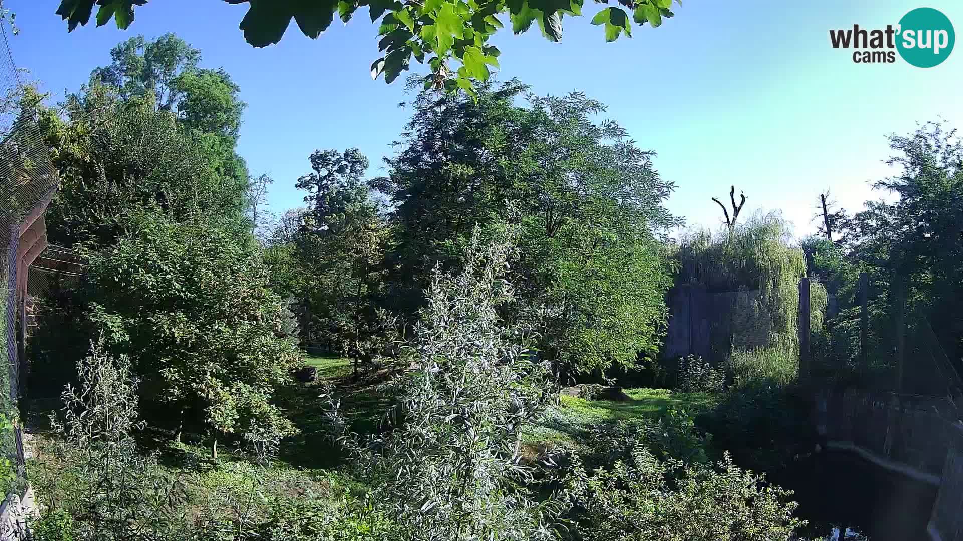 Zoo Zagreb – Leoni