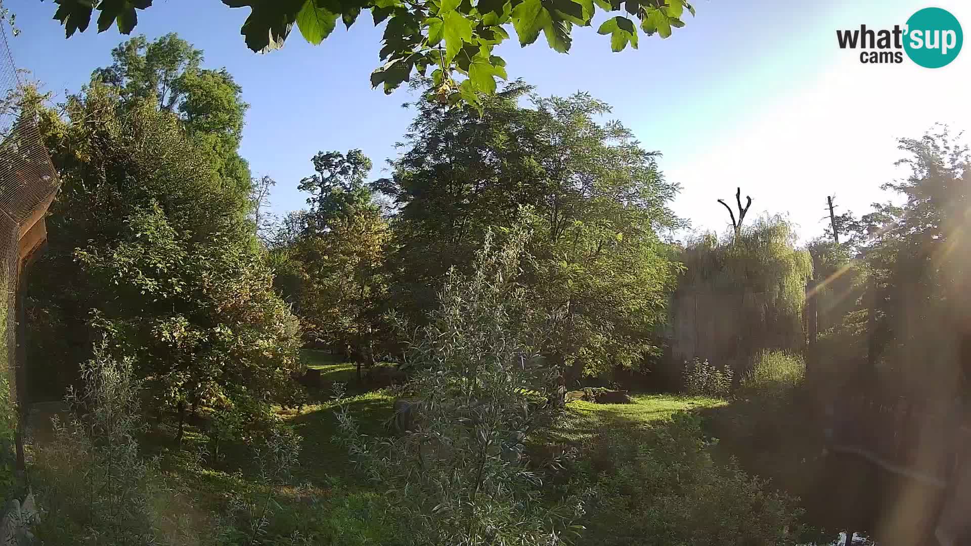 Zoo Zagreb – Leoni
