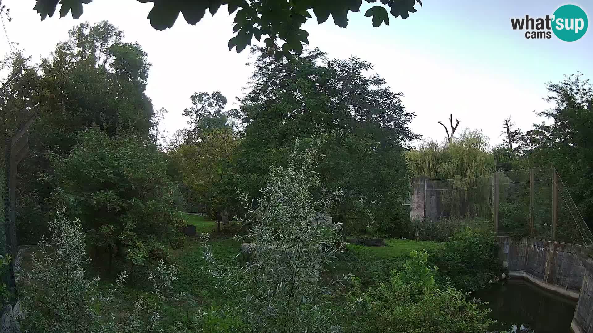 Zoo Zagreb – Lavovi
