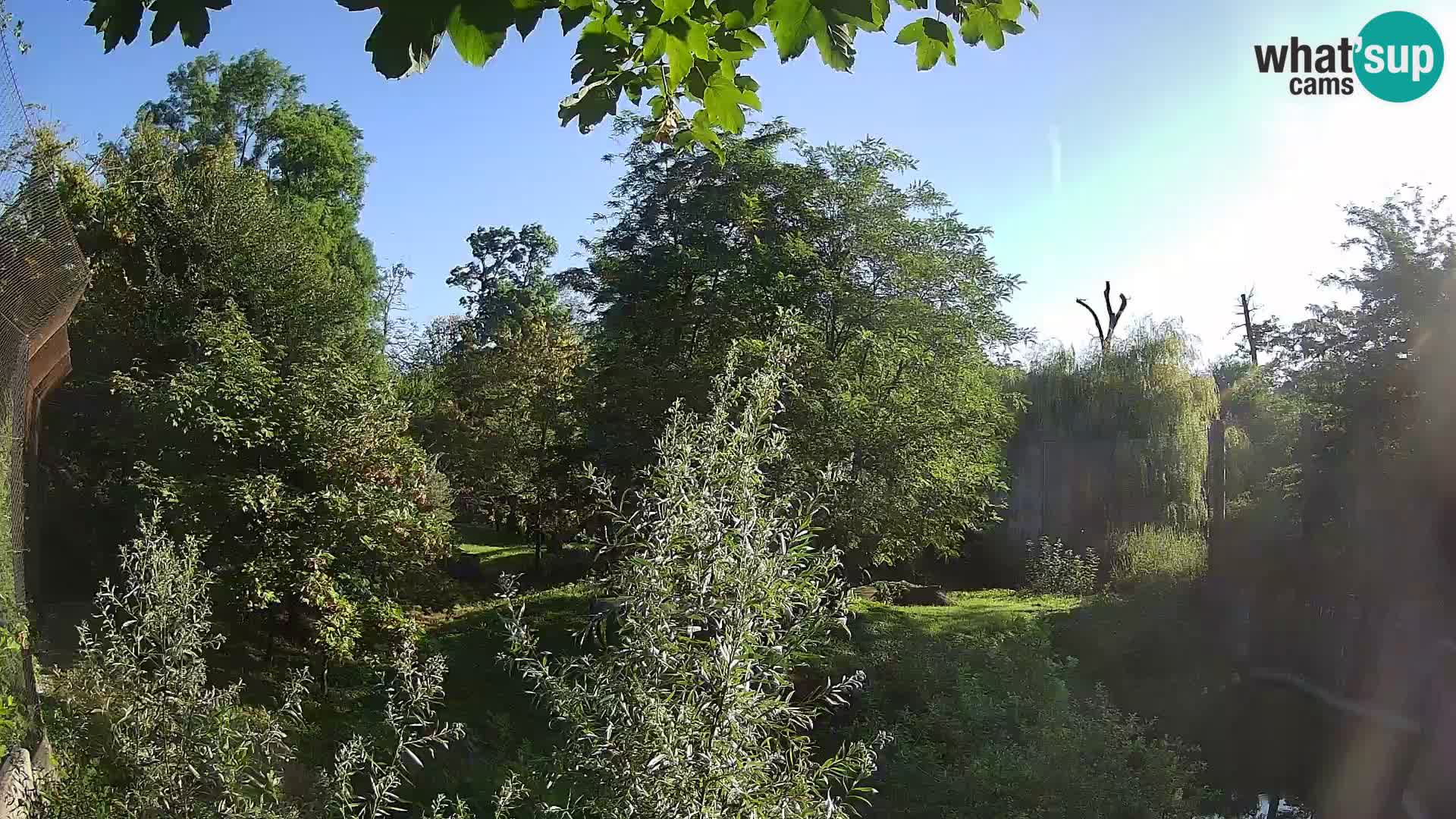 Zoo Zagreb – Leoni