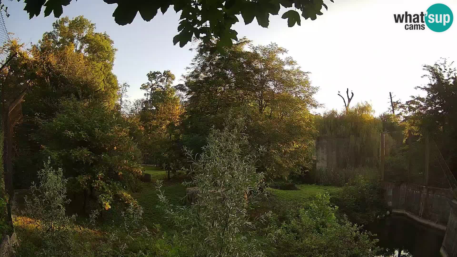 Zoo Zagreb – Leoni