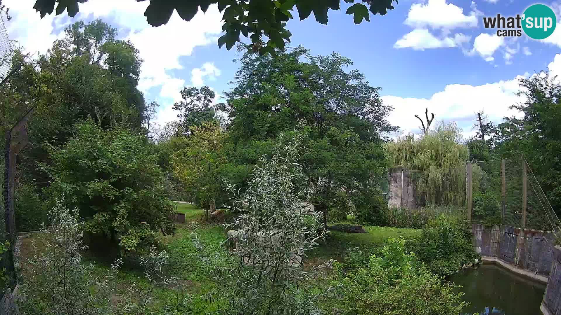 Zoo Zagreb – Löwen