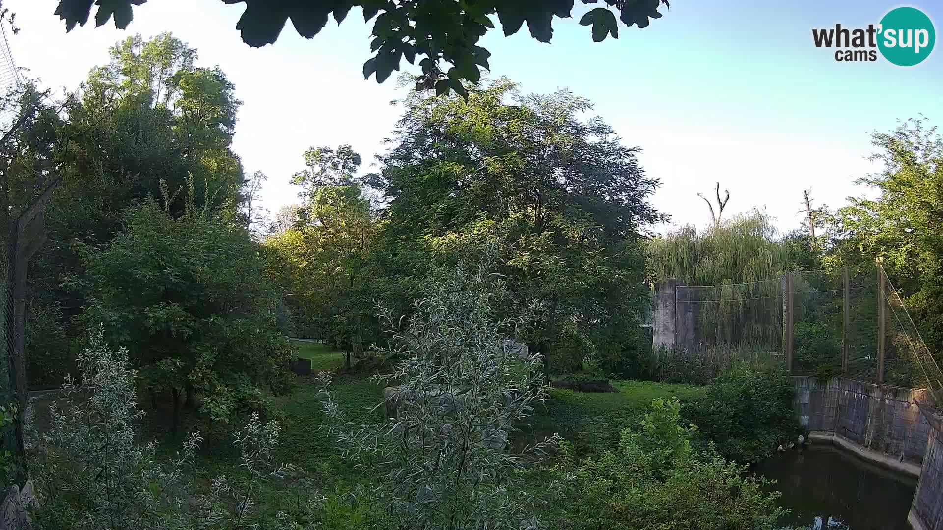 Zoo Zagreb – Löwen