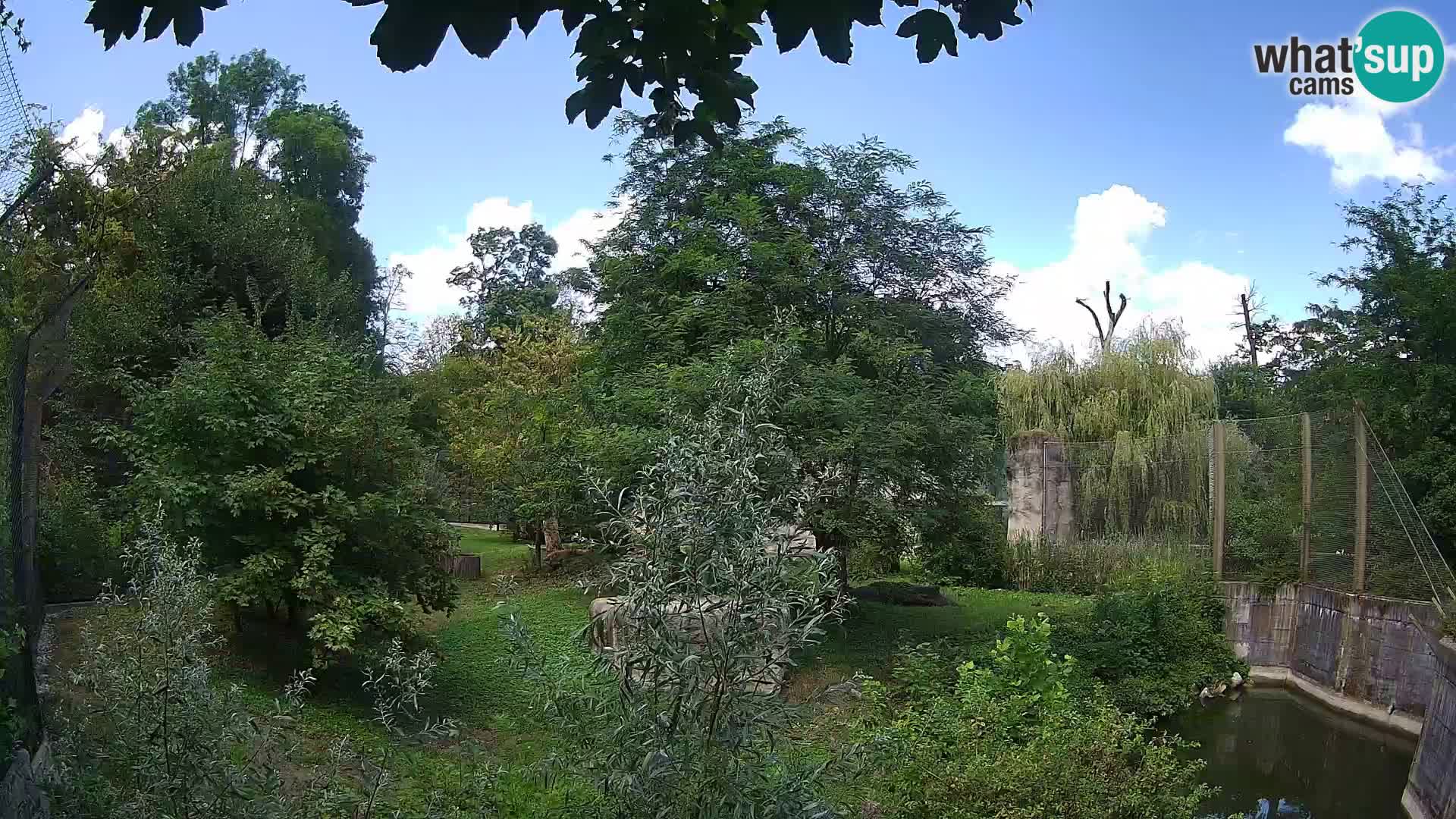 Spletna kamera Zoo Zagreb – Levi