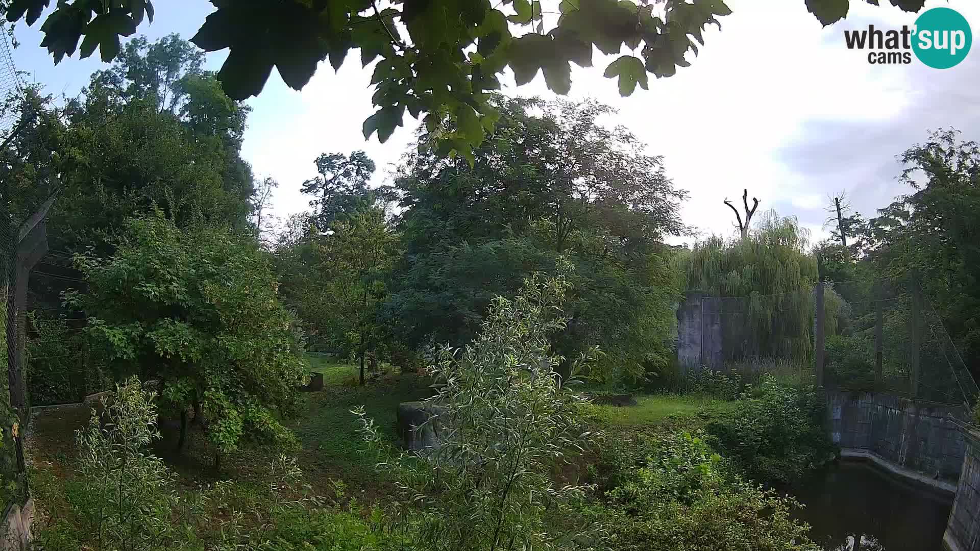 Zoo Zagreb – Lavovi