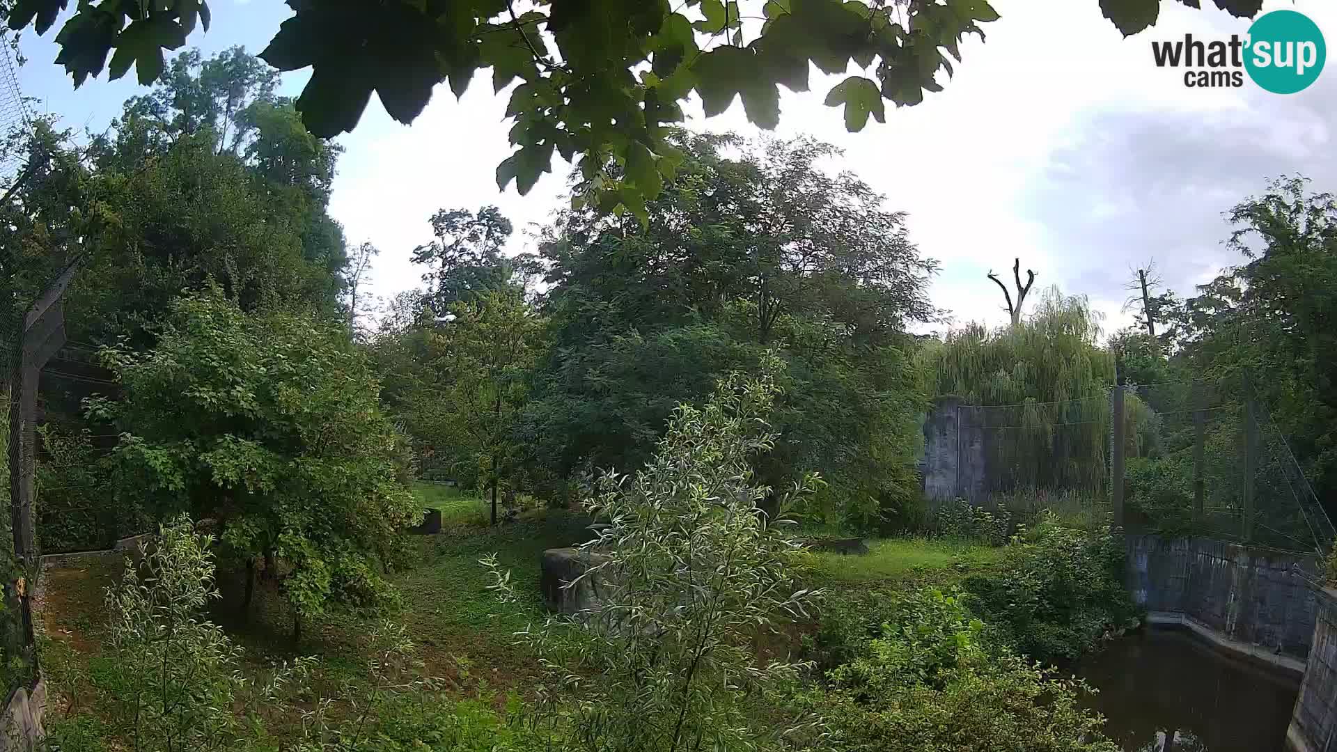 Zoo Zagreb – Leones