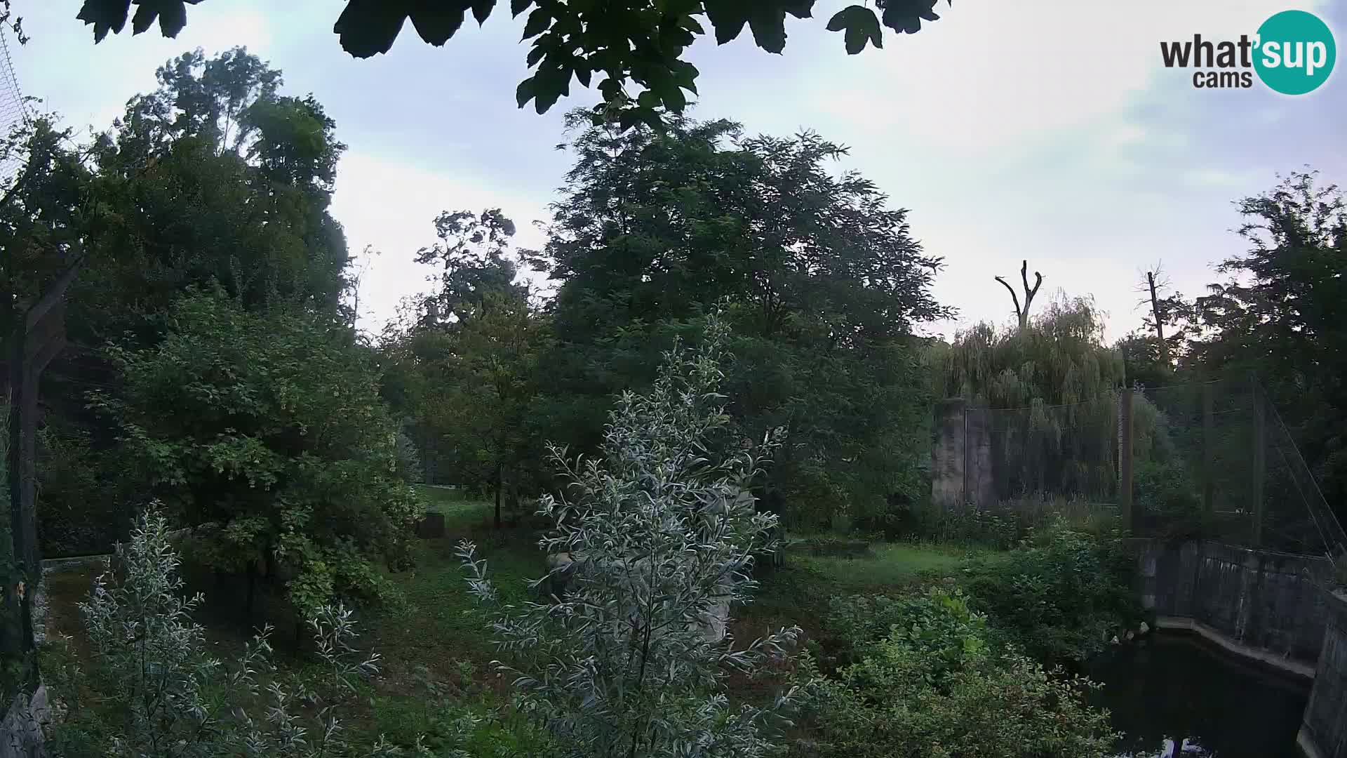 Spletna kamera Zoo Zagreb – Levi