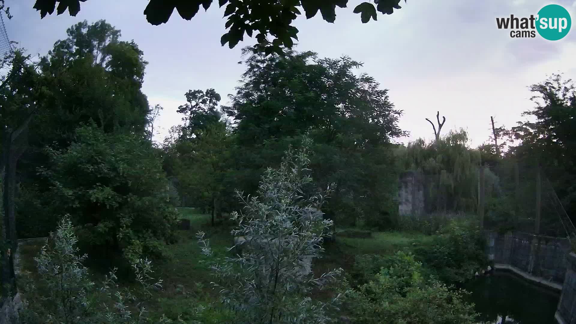 Zoo Zagreb – Löwen