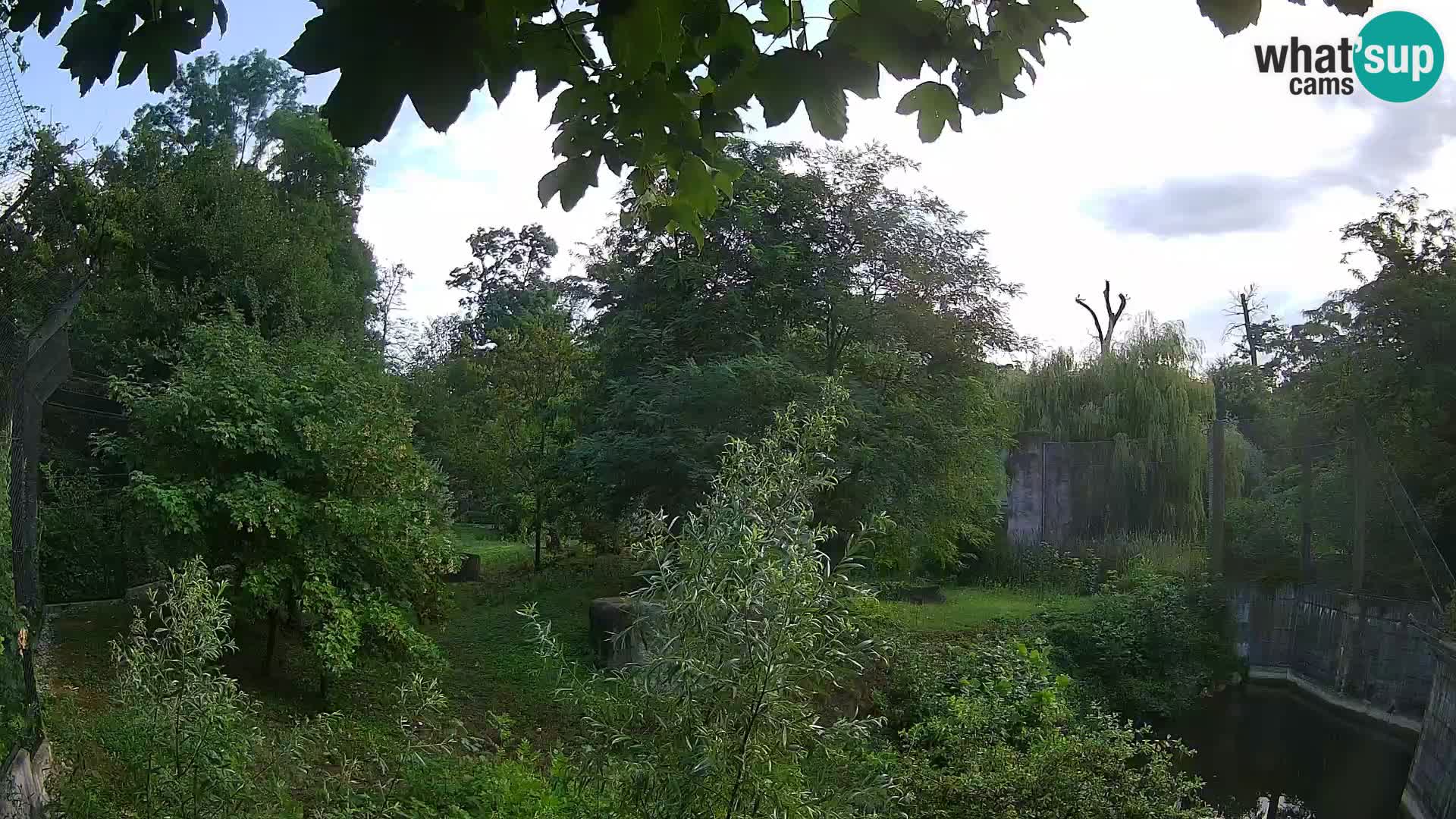 Zoo Zagreb – Lavovi