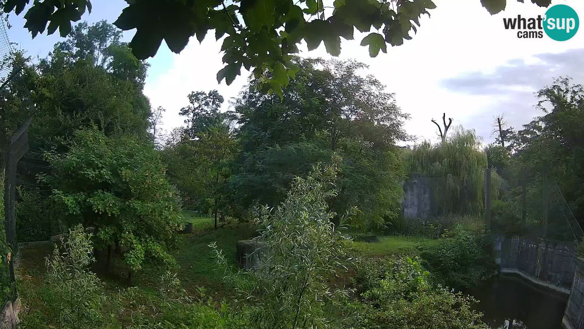Zoo Zagreb – Leoni