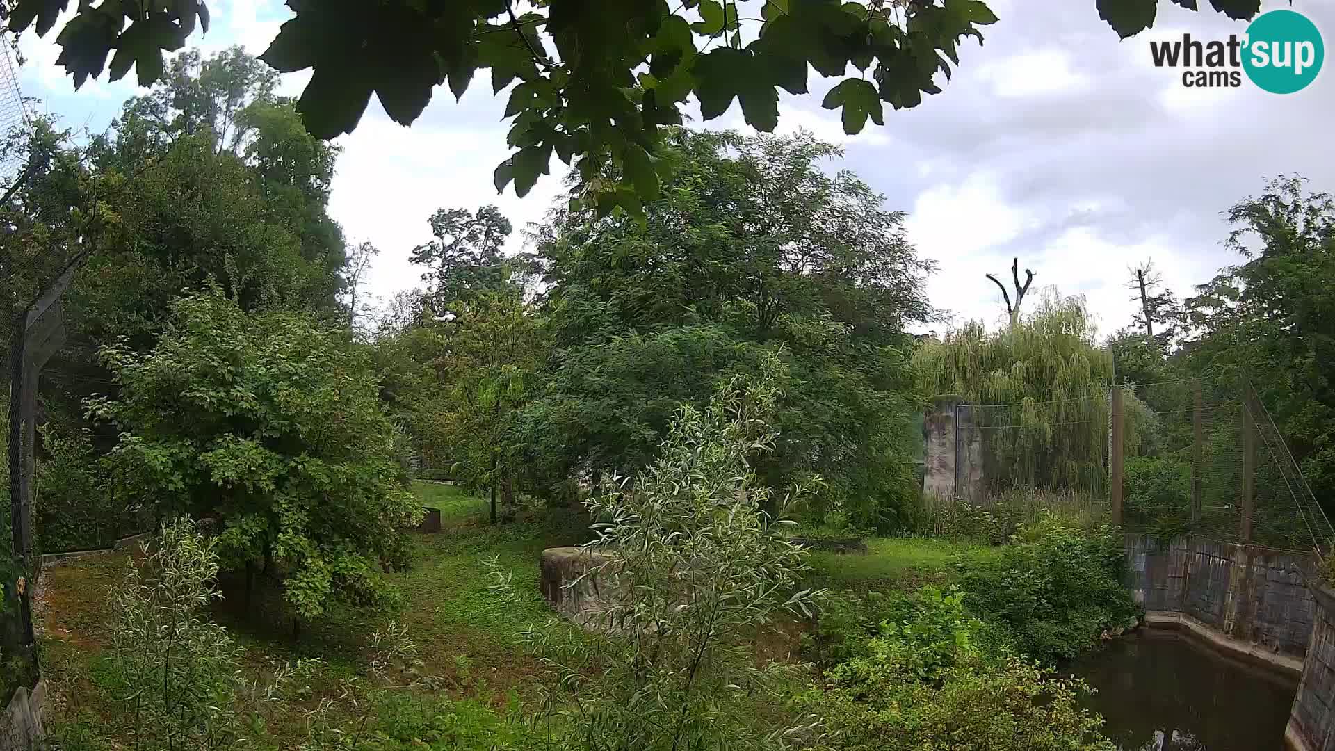 Zoo Zagreb – Lavovi