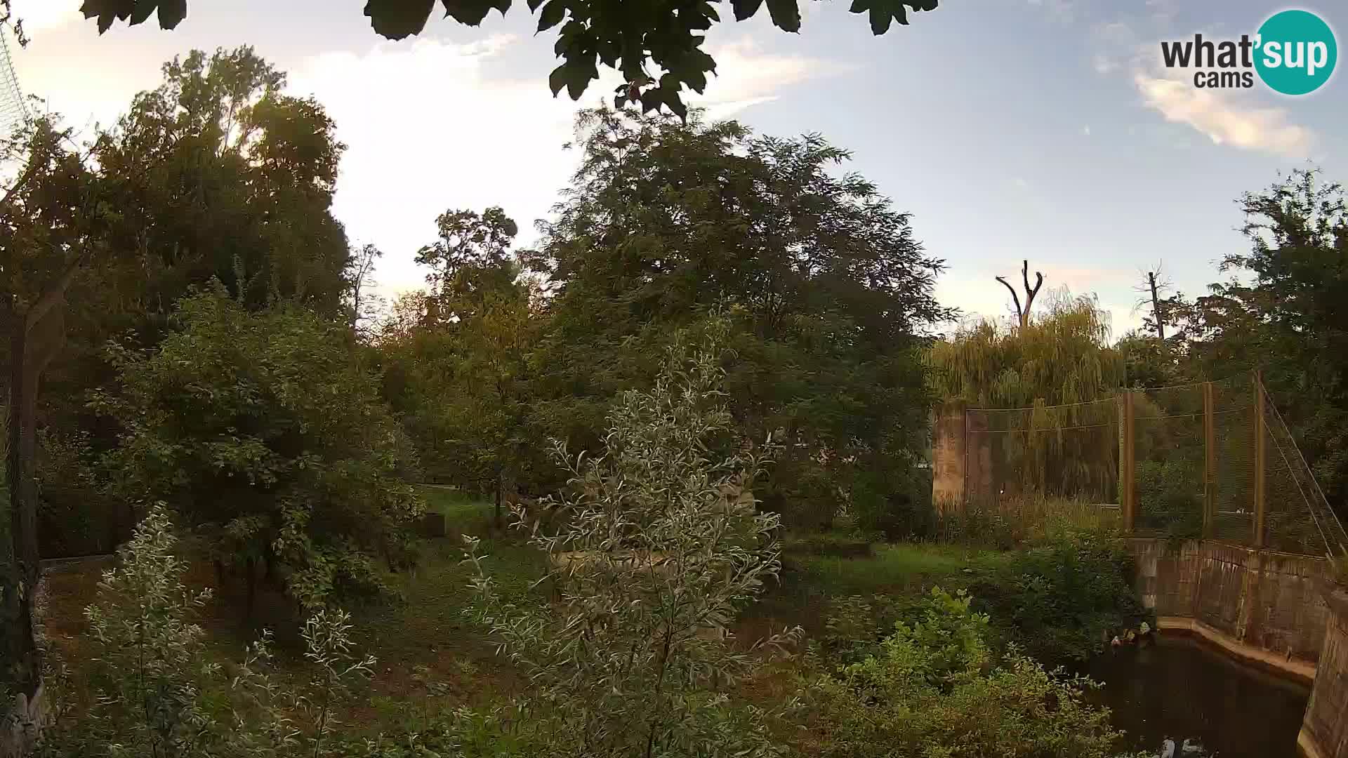Zoo Zagreb – Leones