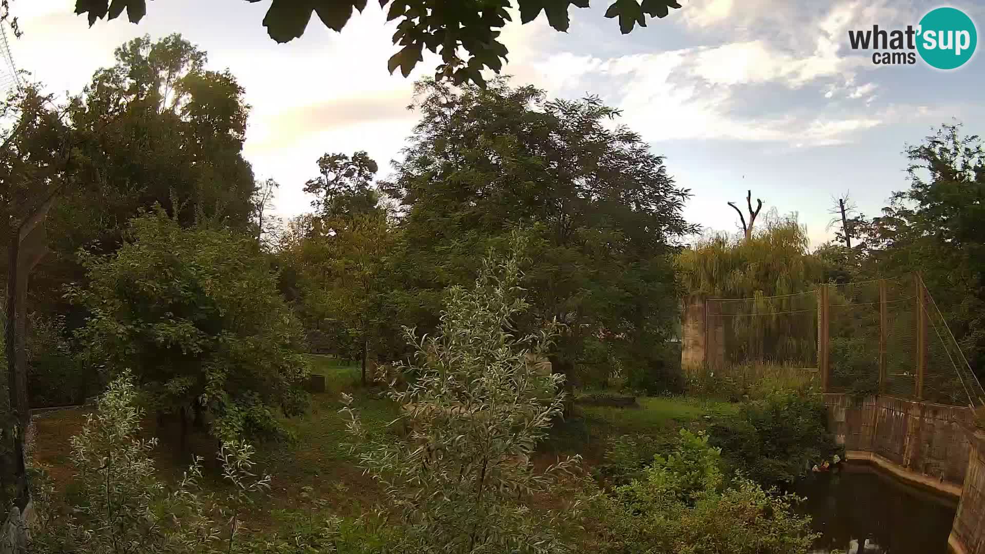 Zoo Zagreb – Löwen