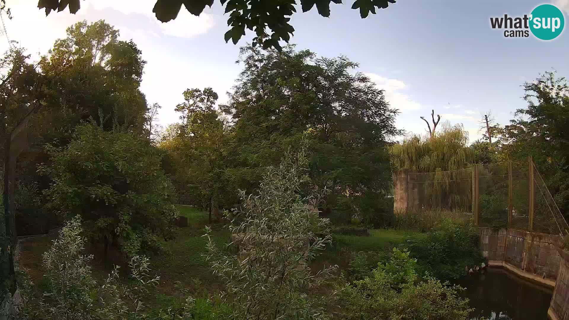 Zoo Zagreb – Lavovi