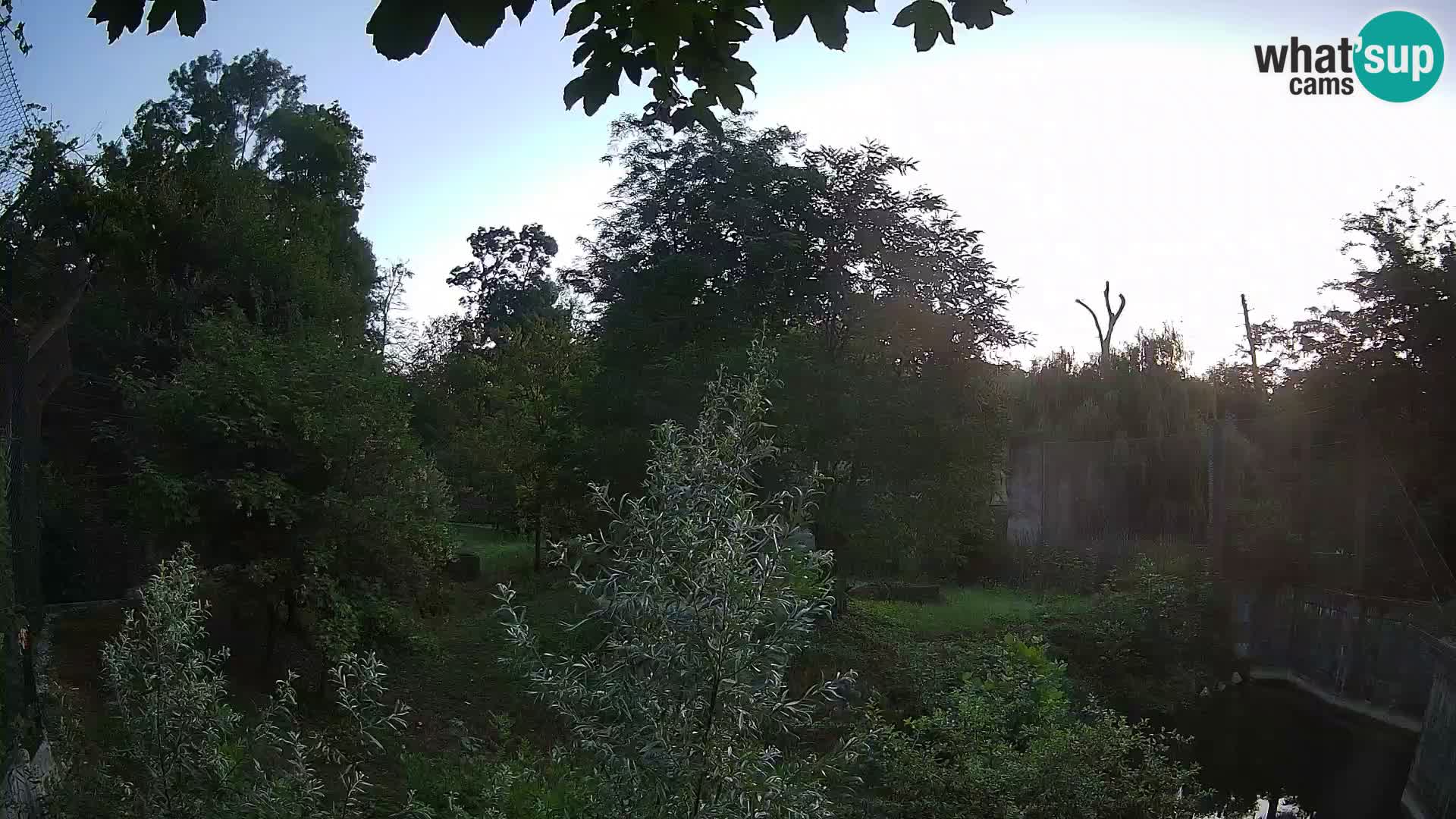 Zoo Zagreb – Leoni