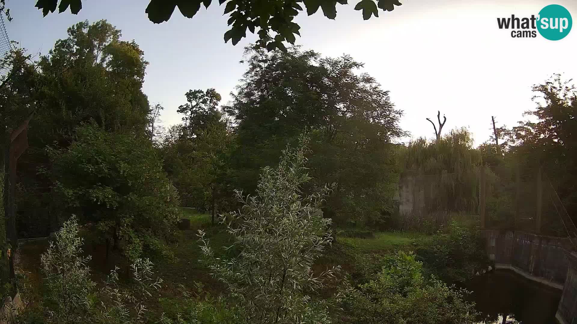 Zoo Zagreb – Leones