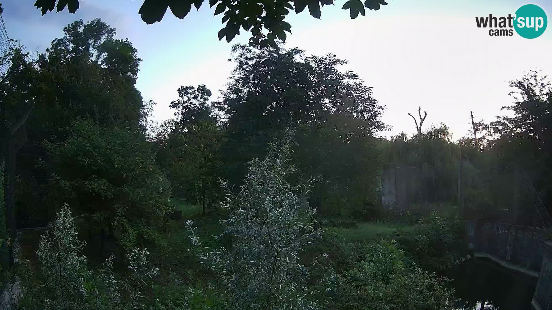 Spletna kamera Zoo Zagreb – Levi