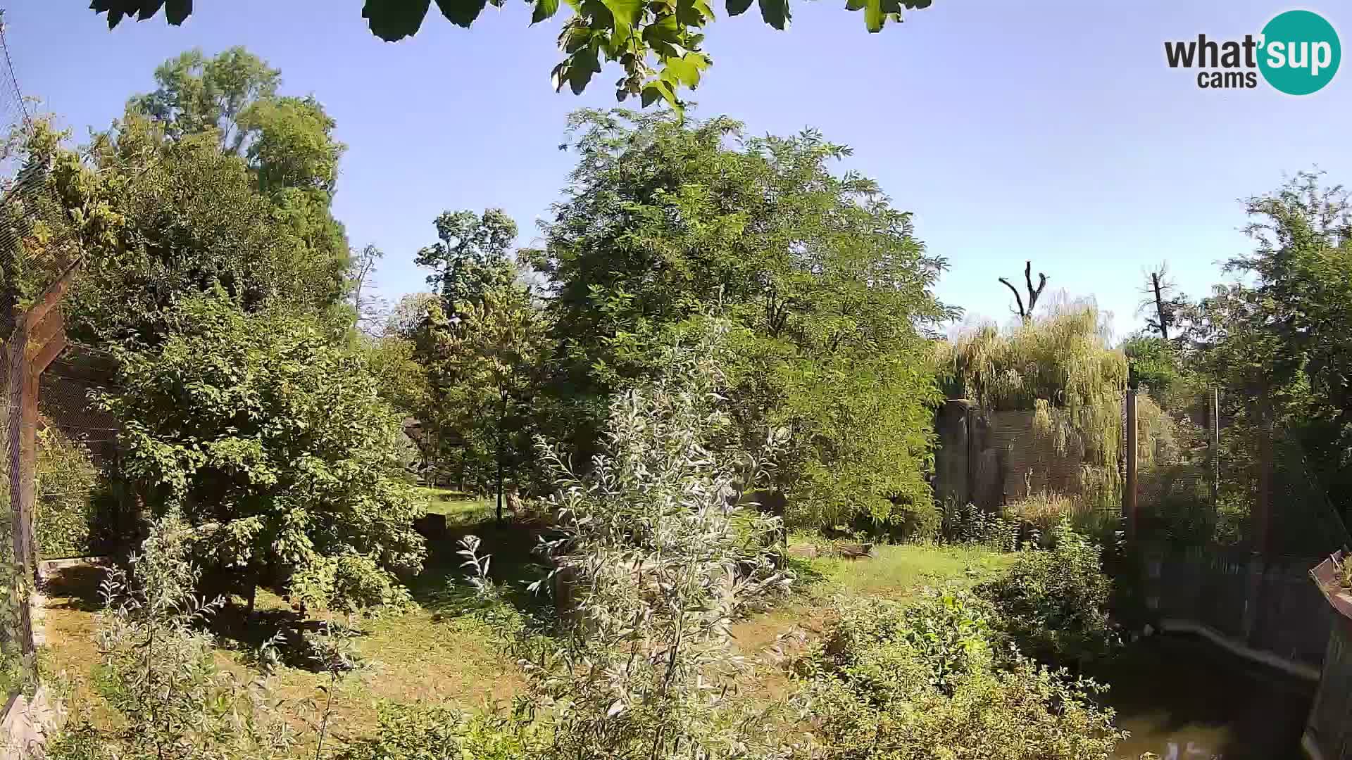 Zoo Zagreb – Leoni