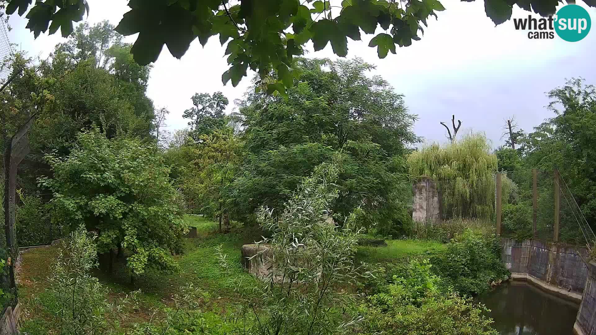 Zoo Zagreb – Leones