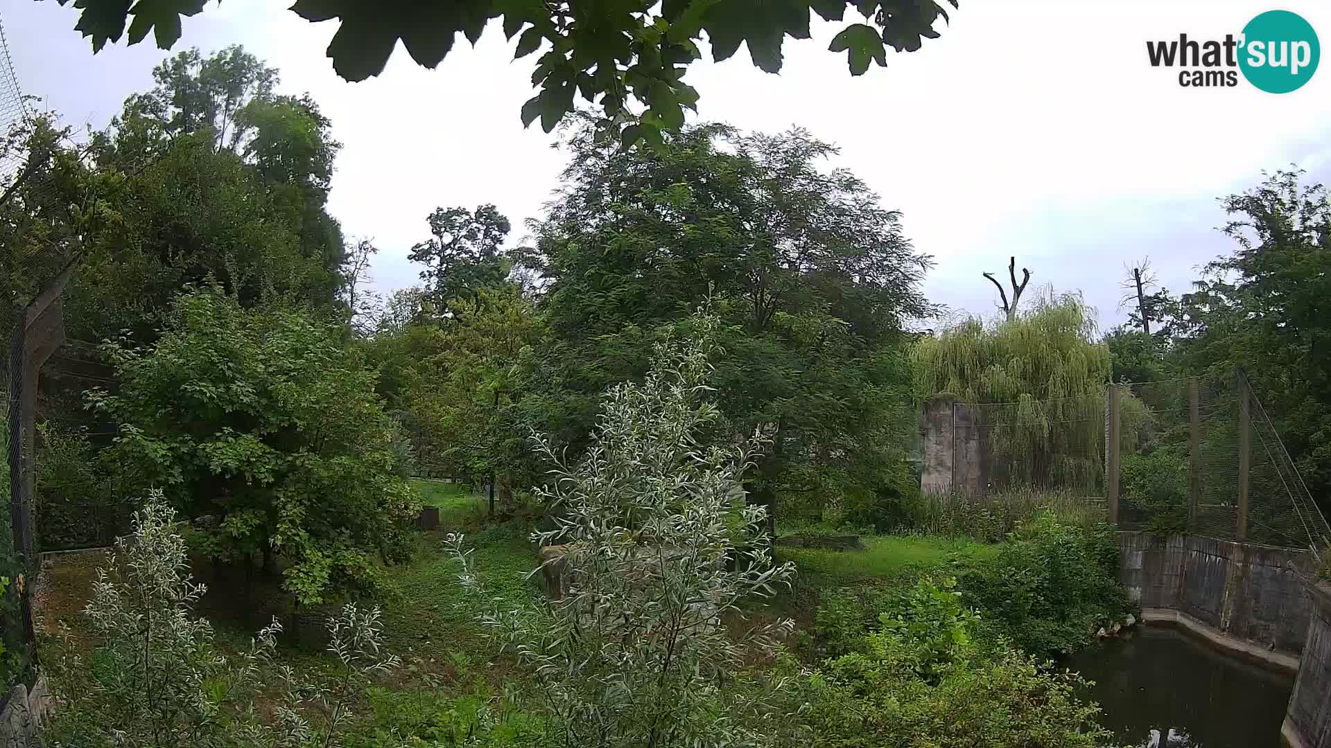 Zoo Zagreb – Leoni