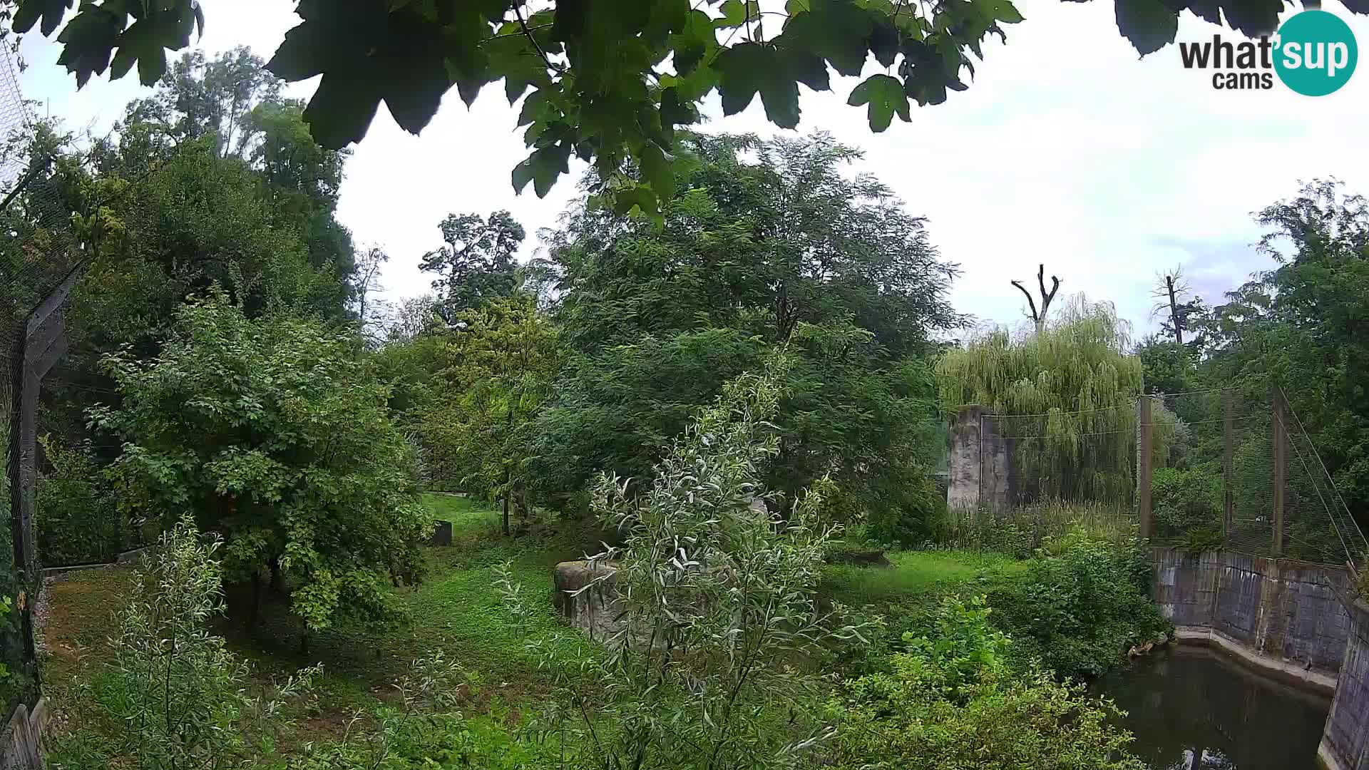 Zoo Zagreb – Löwen