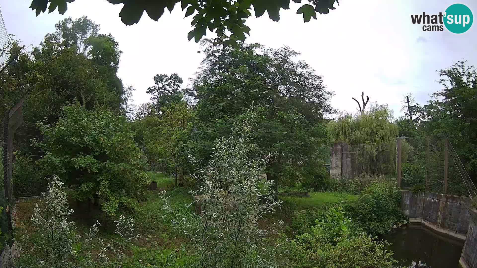 Zoo Zagreb – Leoni