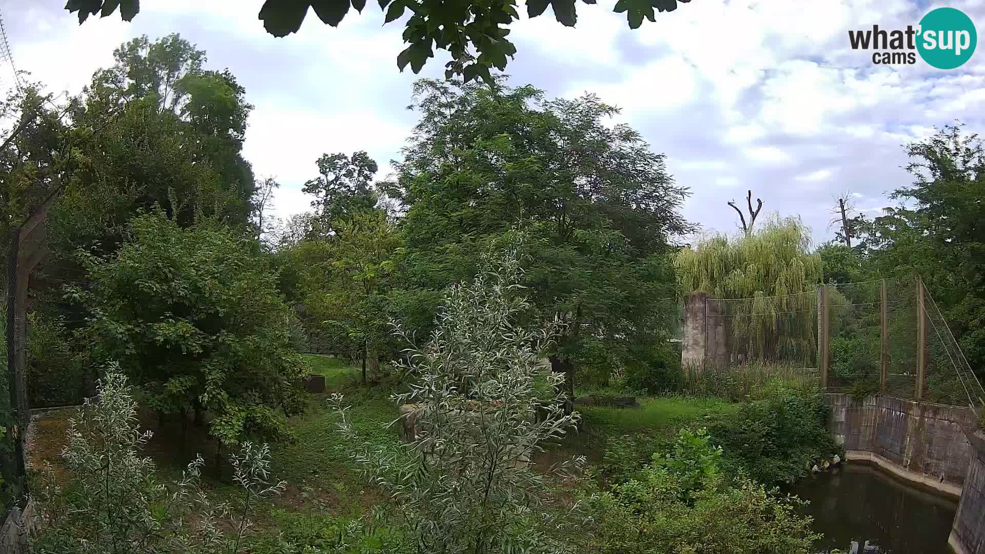 Zoo Zagreb – Leoni