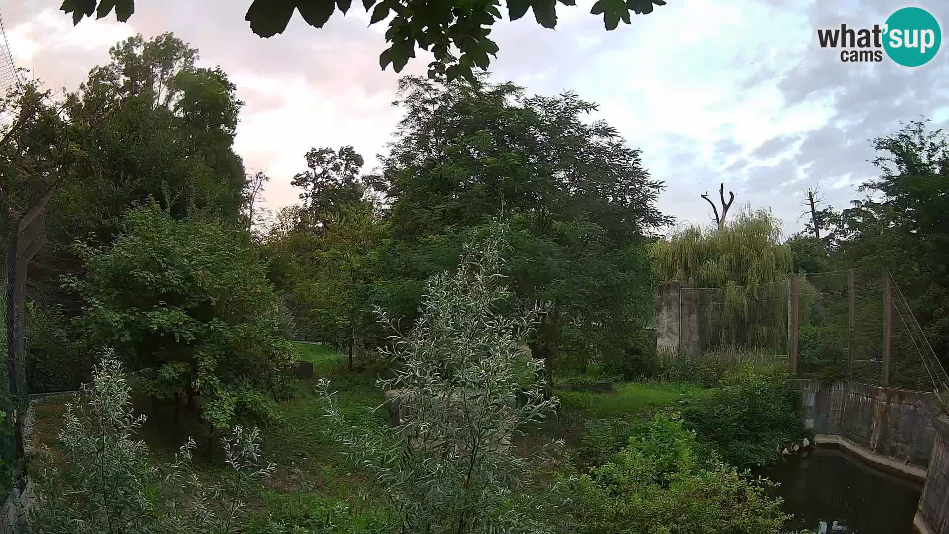 Zoo Zagreb – Löwen
