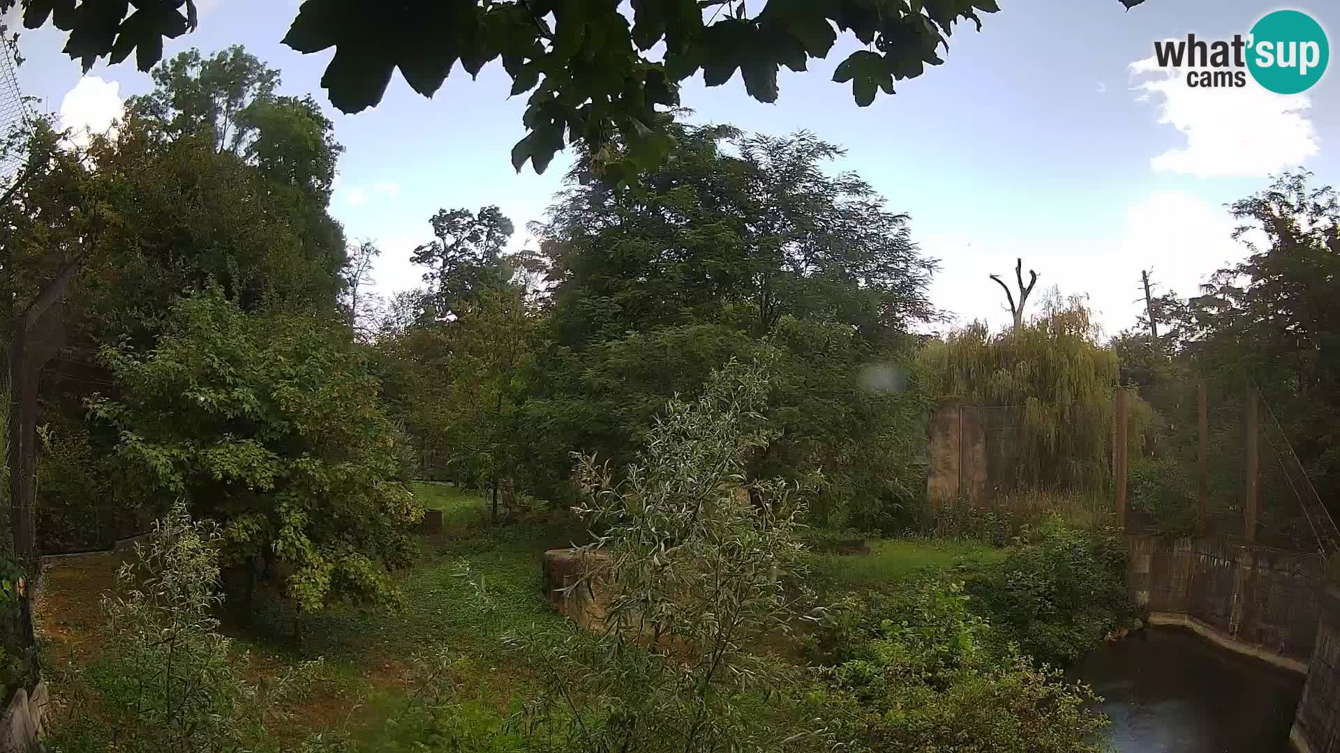 Zoo Zagreb – Löwen
