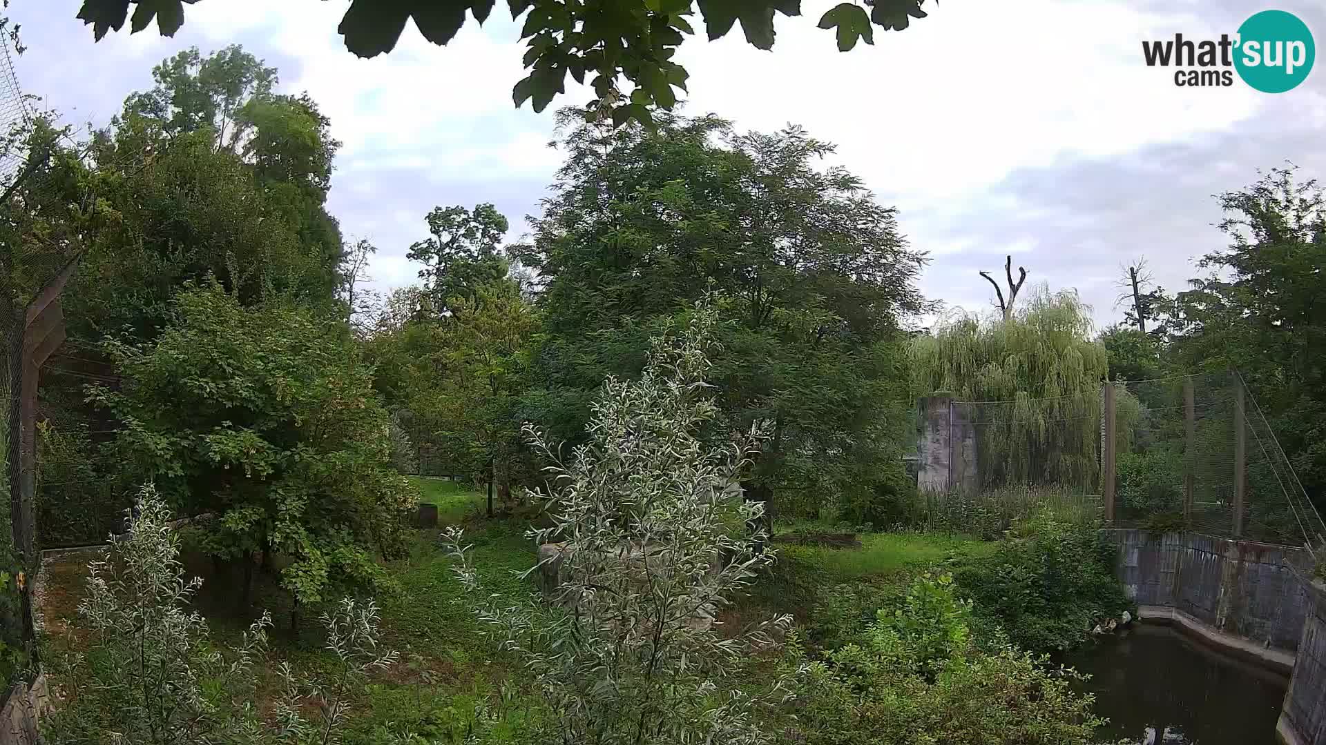 Zoo Zagreb – Leoni