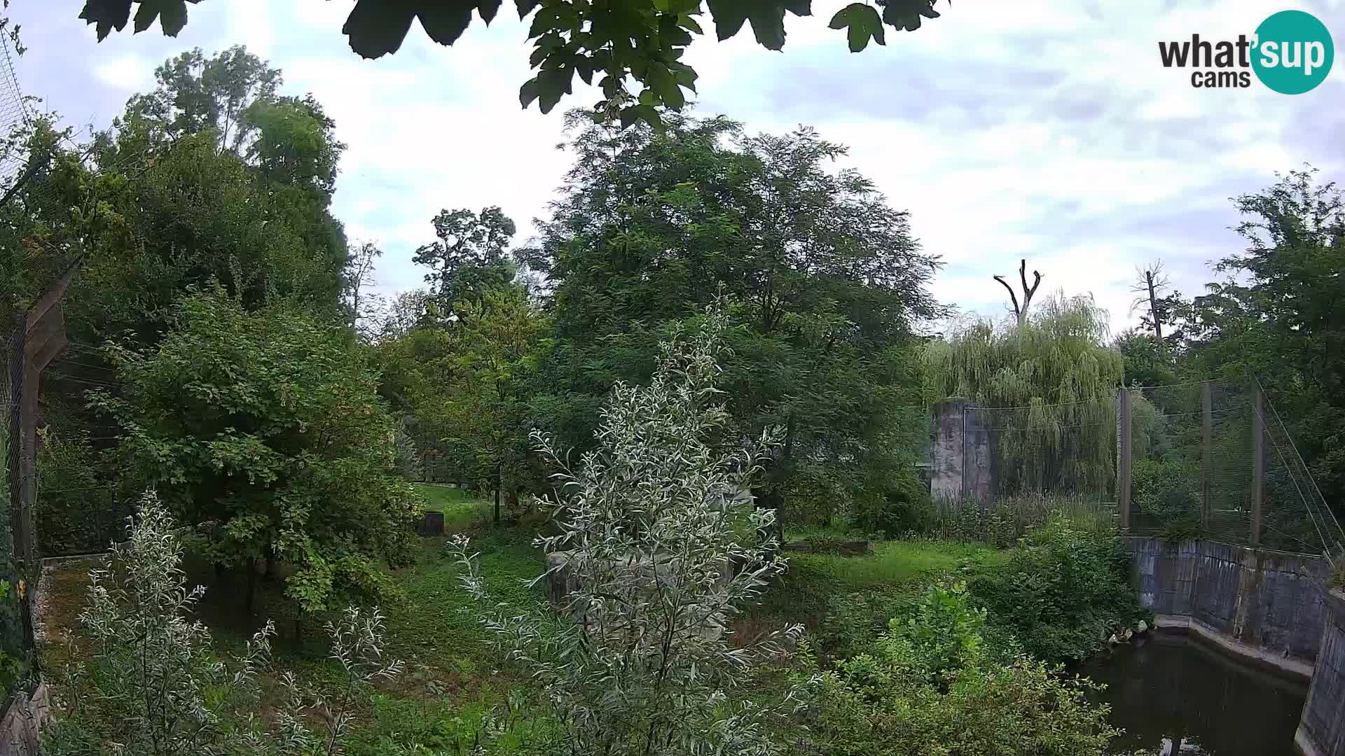 Zoo Zagreb – Leoni