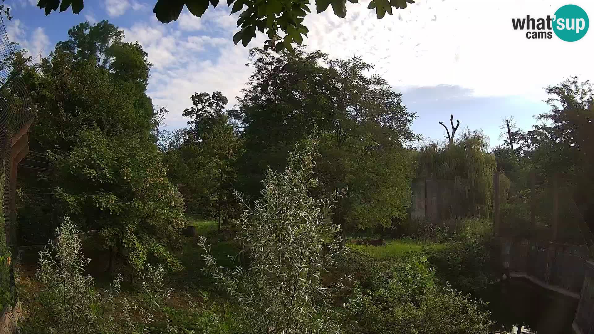 Zoo Zagreb – Lion